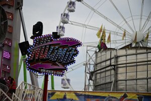 DSC_1055