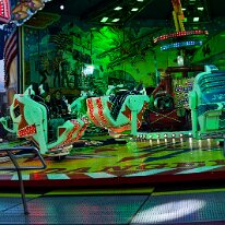 _DSC0581