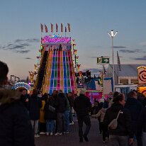 _DSC0585
