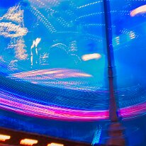 _DSC0596